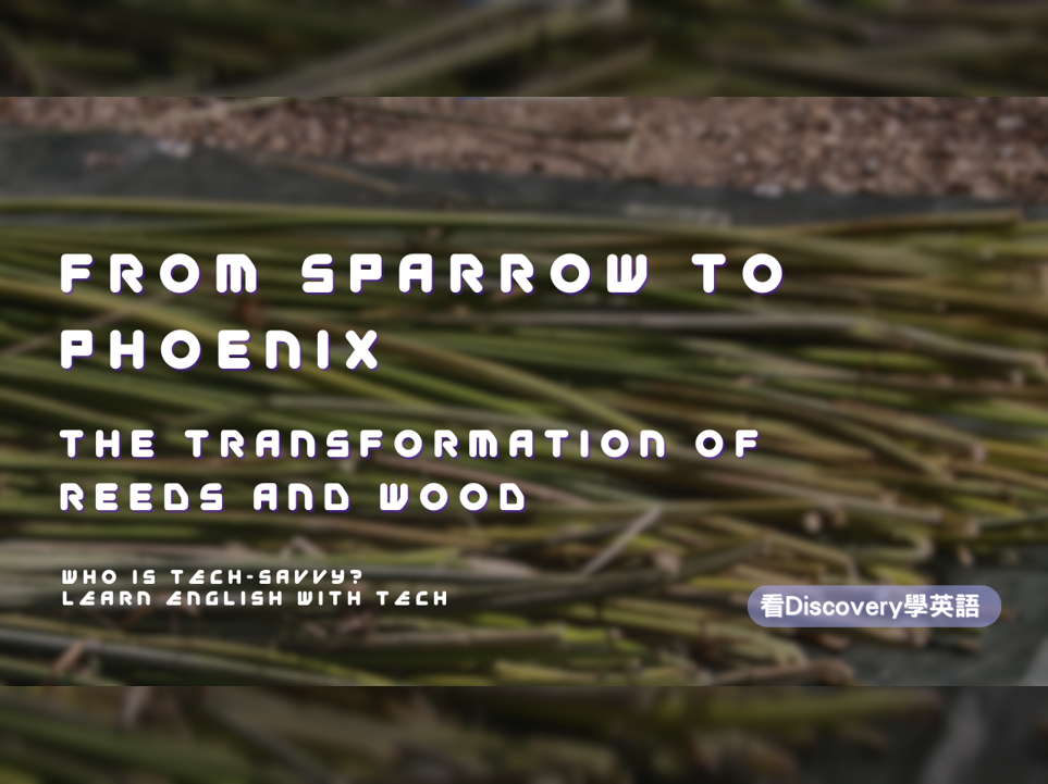 麻雀變鳳凰–蘆葦與木材的變身 From Sparrow to Phoenix - The Transformation of Reeds and Wood