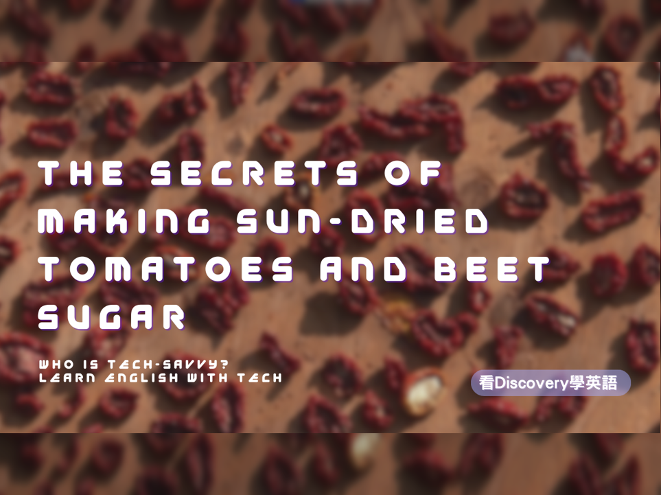 番茄乾與甜菜糖加工的秘密 The Secrets of Making Sun-Dried Tomatoes and Beet Sugar