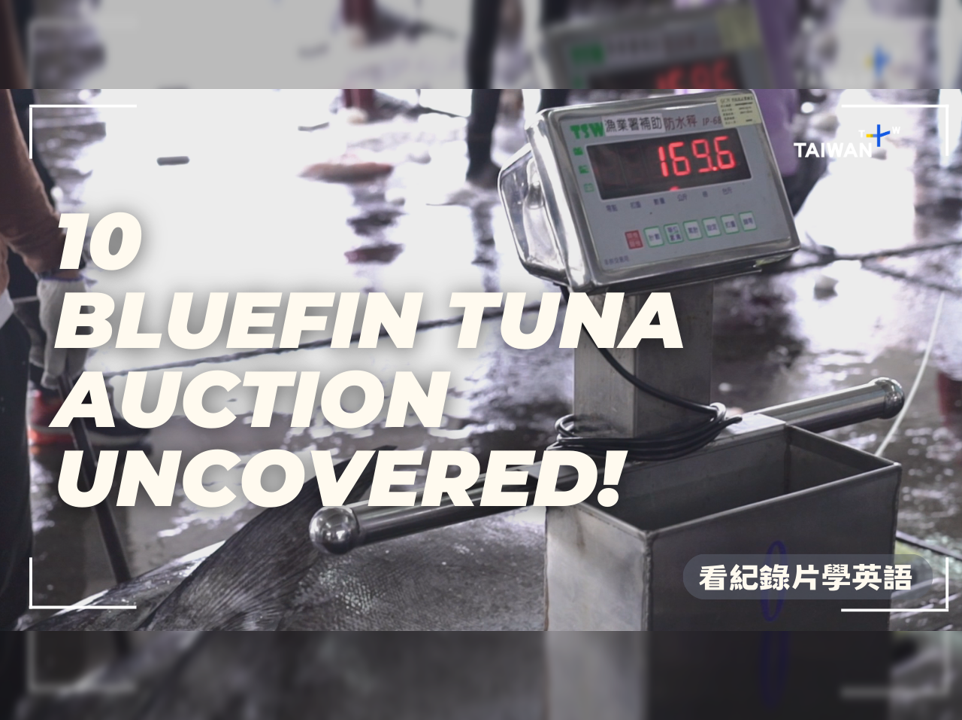 黑鮪魚身價的秘密 Bluefin Tuna Auction Uncovered!